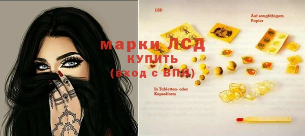 шишки Осташков