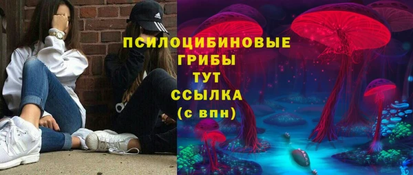 ПСИЛОЦИБИНОВЫЕ ГРИБЫ Балахна